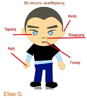 label the five senses boy icon