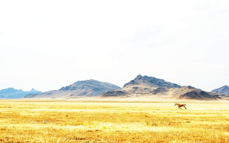 darken this background