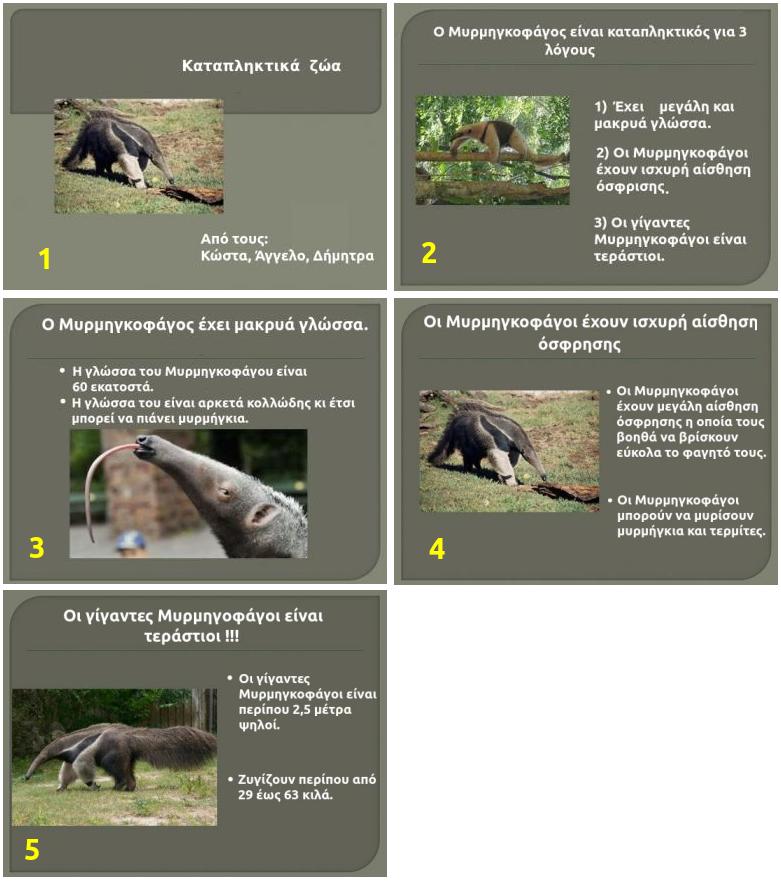 paradeigma katapliktika zoa